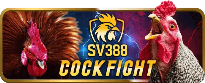 Dịch vụ hỗ trợ khách hàng và FAQ của JN88